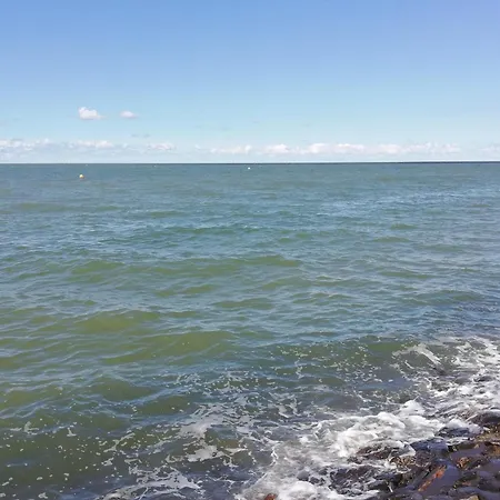 Austernfischer Appartement Butjadingen