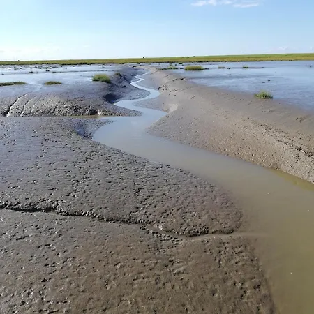 Appartement Austernfischer