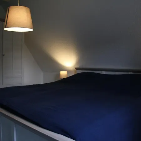 Austernfischer * Butjadingen