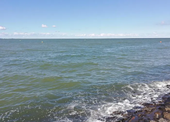 Austernfischer Appartement Butjadingen