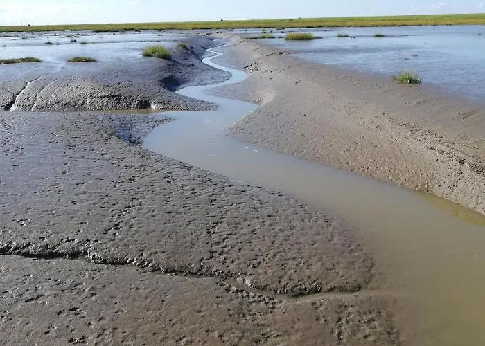 Appartement Austernfischer