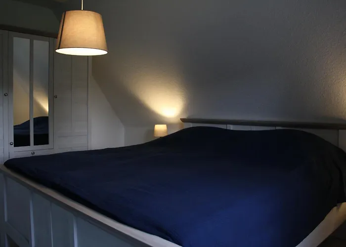 Austernfischer * Butjadingen